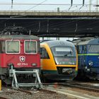 Friedliche Koexistenz auf dem Bahnhof Cottbus