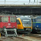 Friedliche Koexistenz auf dem Bahnhof Cottbus: Schweiz, Deutschland, Polen
