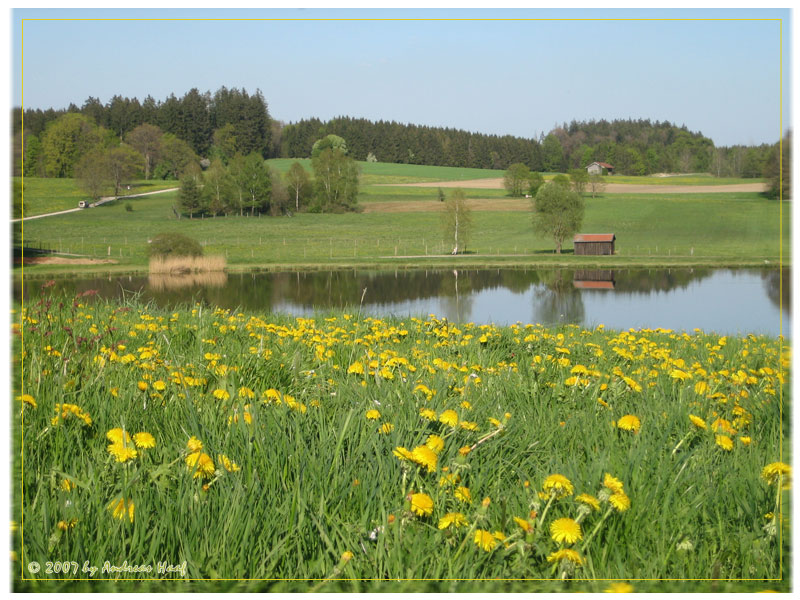 * Friedliche Landschaft *