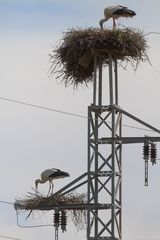 Friedliche Nachbarschaft ?