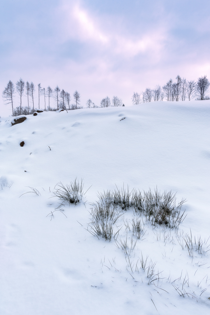 Friedliche Schneelandschaft