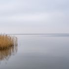 Friedliche Stille am Haffstrand