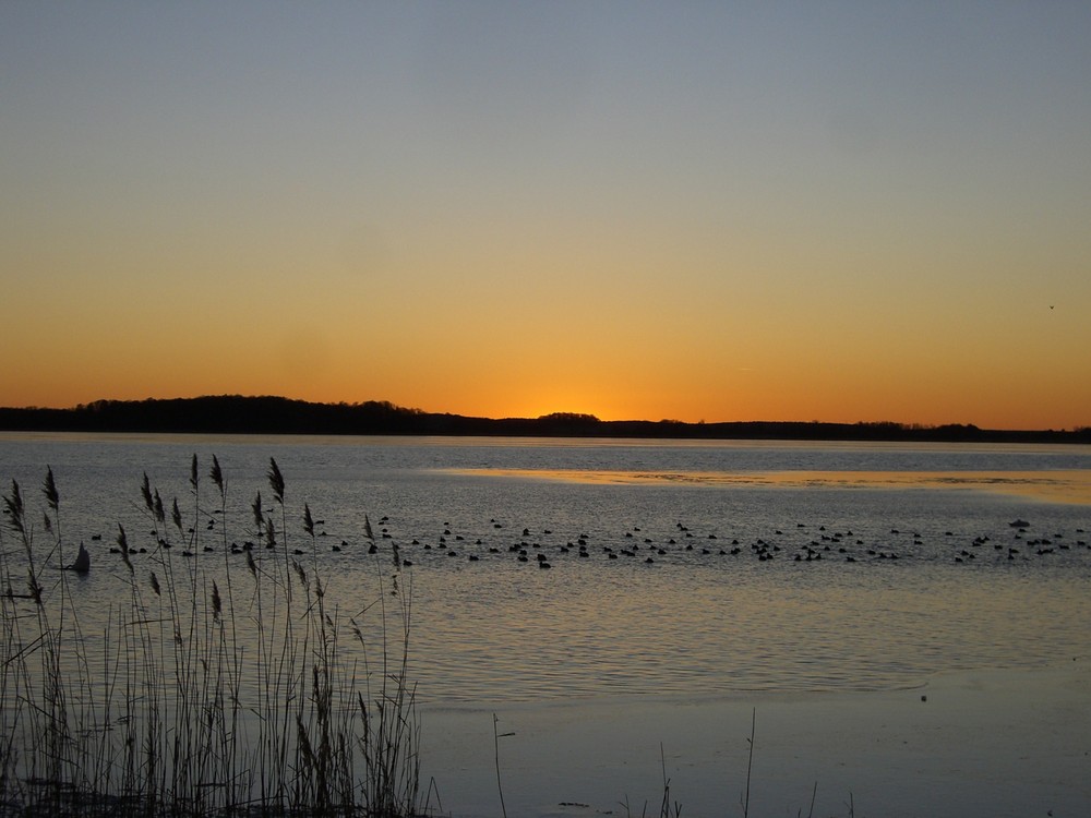 Friedliche Stille am Stettiner Haff