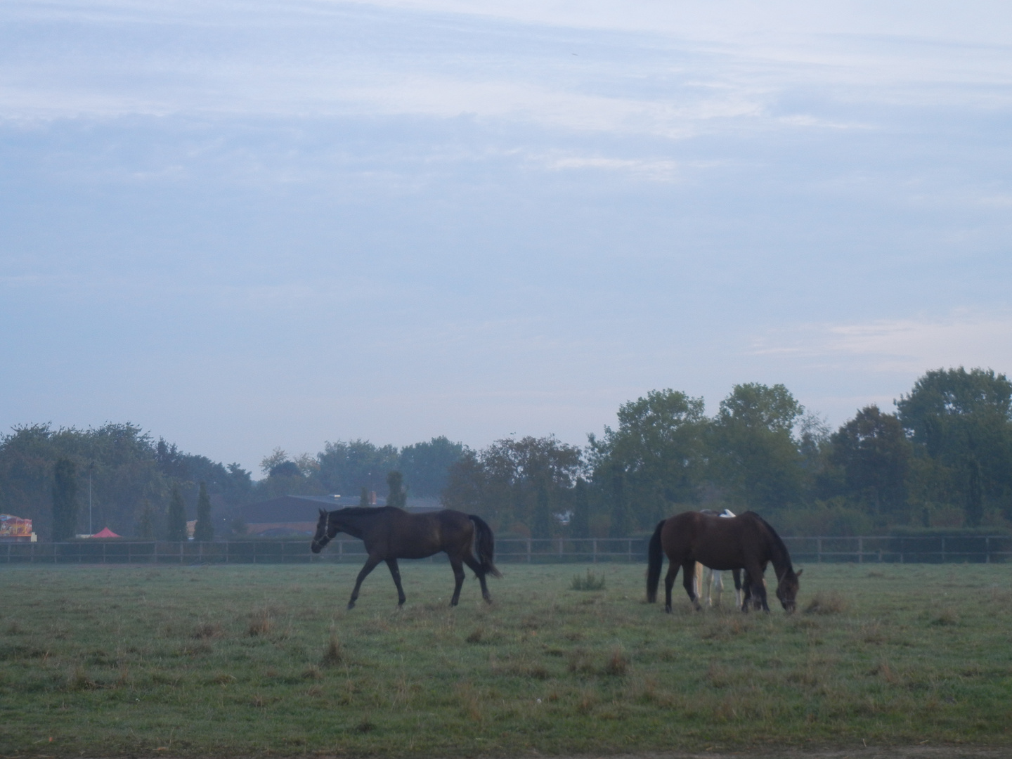 Friedliche Stimmung