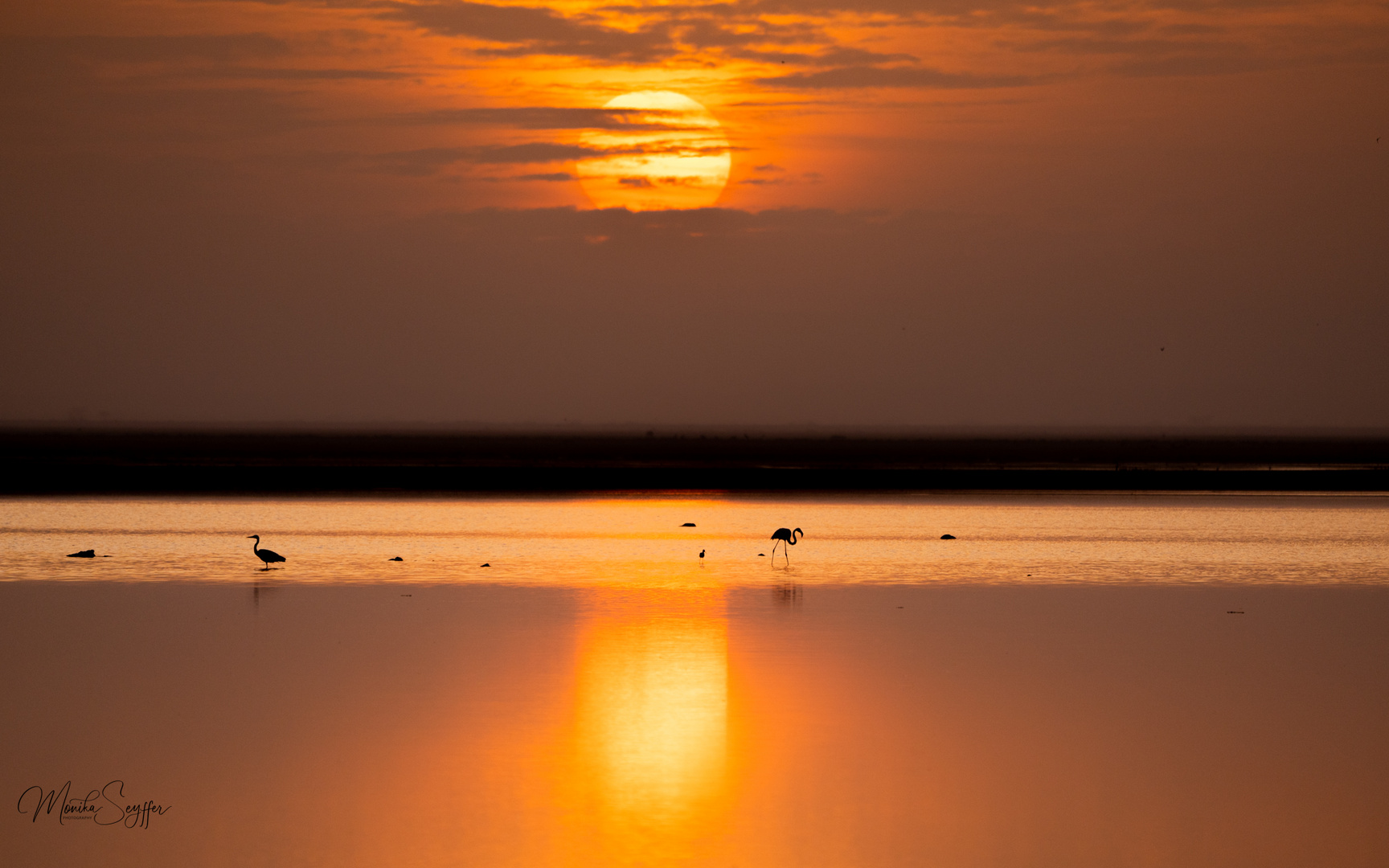 Friedlicher Morgen im Amboseli Park