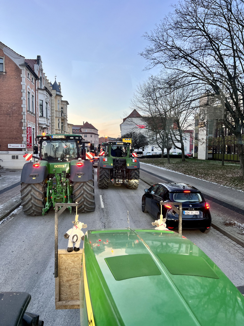 Friedlicher Protest