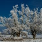 Friedlicher Wintermorgen