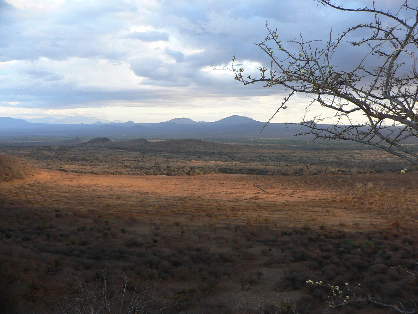 friedliches afrika