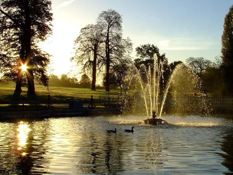 Friedliches Morgenerwachen im Hyde-Park