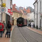 Friedliches Nebeneinander in Bad Doberan..