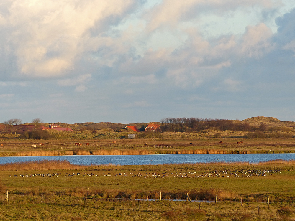 Friedliches Ostland