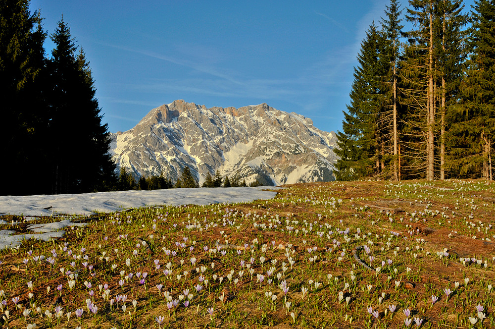 Friedliches Platzerl