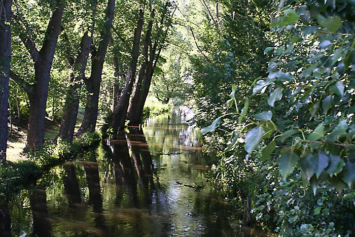 Friedliches Wasser