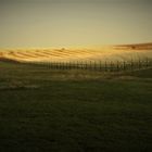 Friedmannsdorfer  Berg :Photovoltaik Halterungen im Abendlicht