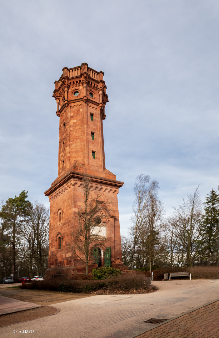 Friedrich-August-Turm Rochlitzer Berg  (2)