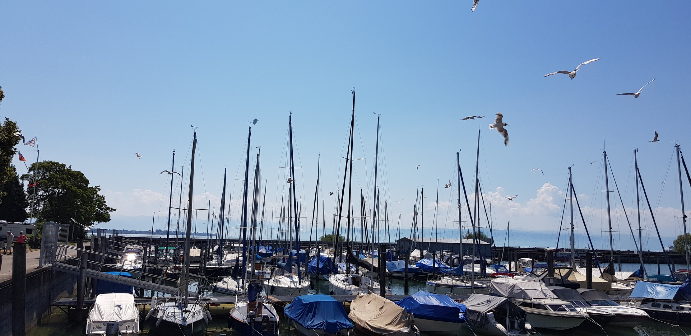 Friedrichshafen 