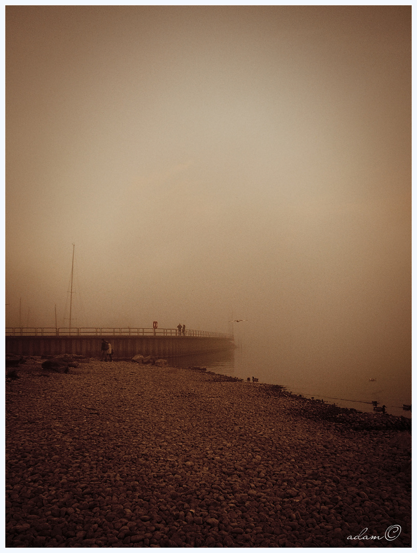 Friedrichshafen im Nebel 1