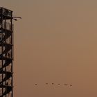 "Friedrichshafen Tower an Flugformation: Sunset in 30 Minuten..."  :-)