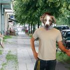 Friedrichshain - die meisten Hunde pro Kopf