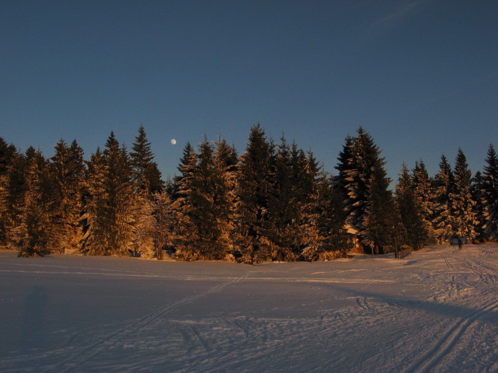 Friedrichshöhe 4 Foto & Bild | jahreszeiten, winter, thüringen