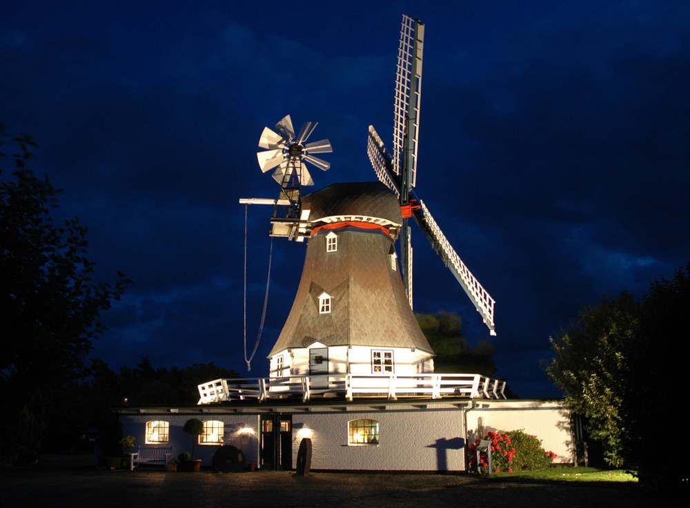 friedrichskoog hochzeitsmuehle vergissmeinnicht