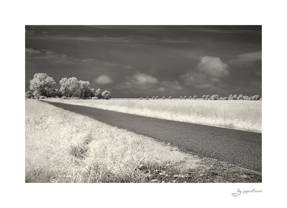 Friedrichskoog-IR