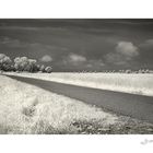 Friedrichskoog-IR