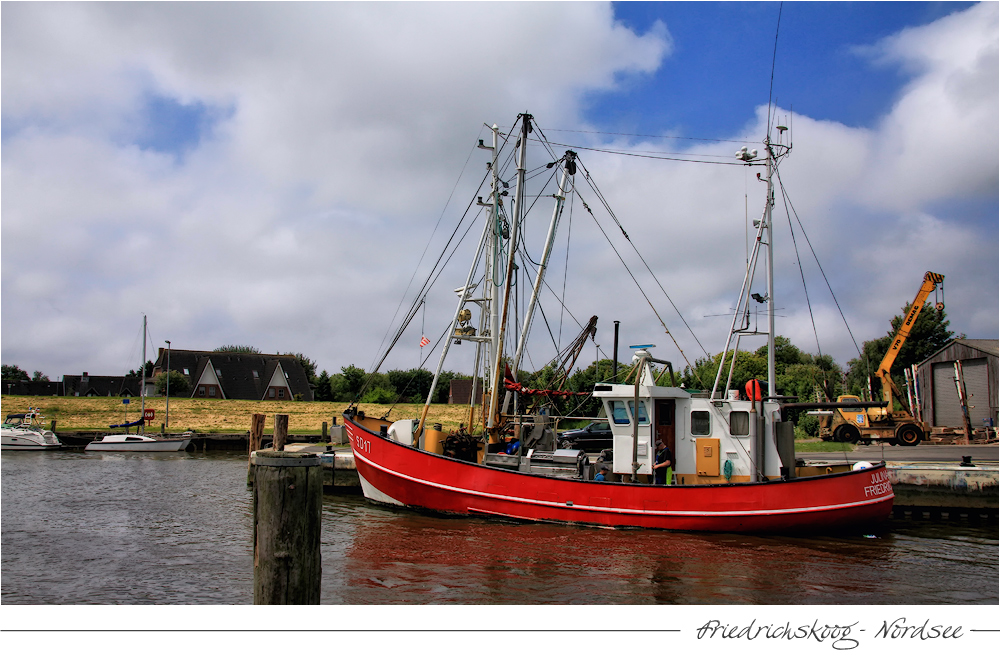 FRIEDRICHSKOOG -NORDSEE-