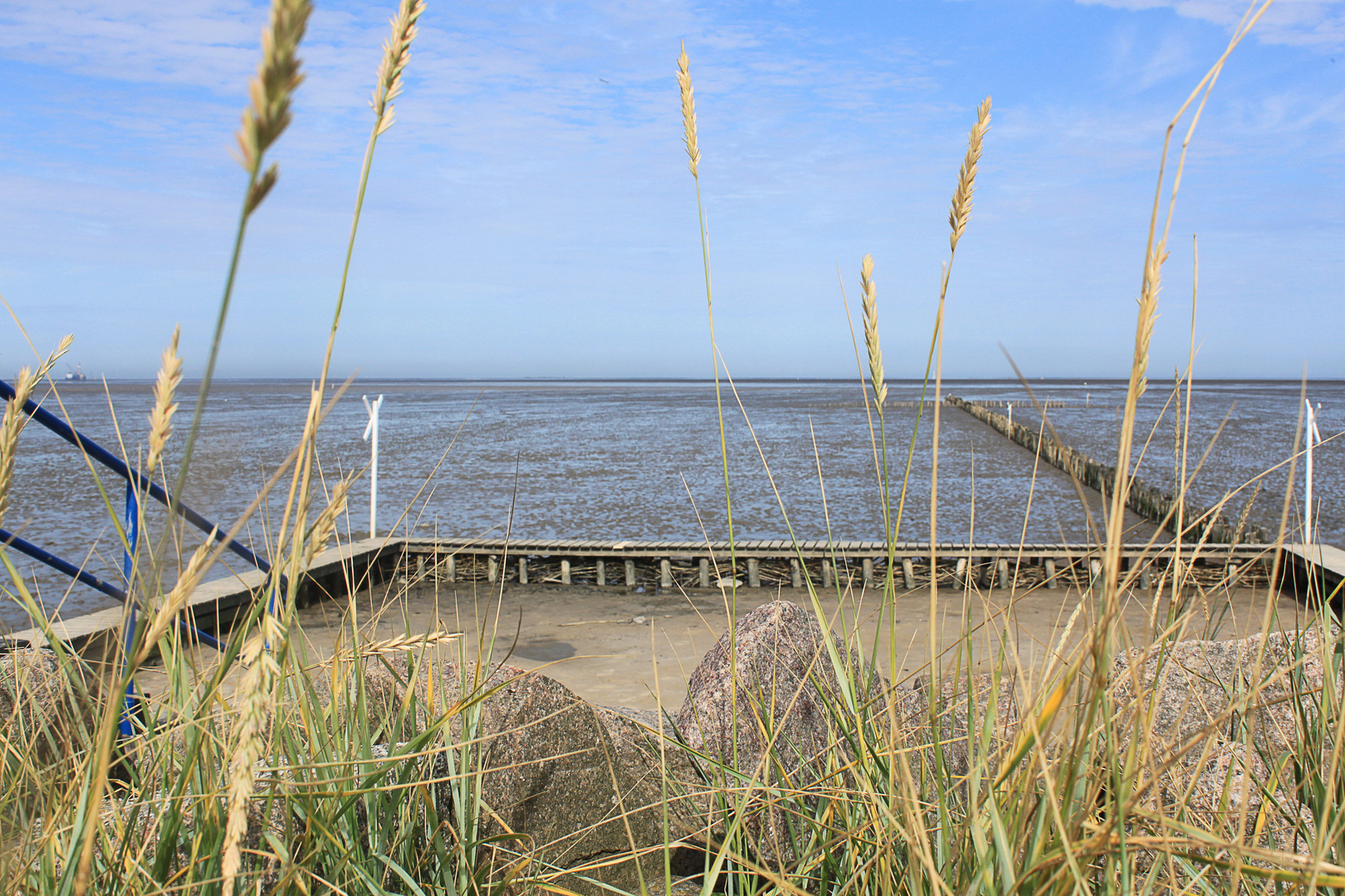 Friedrichskoog / Nordseeküste