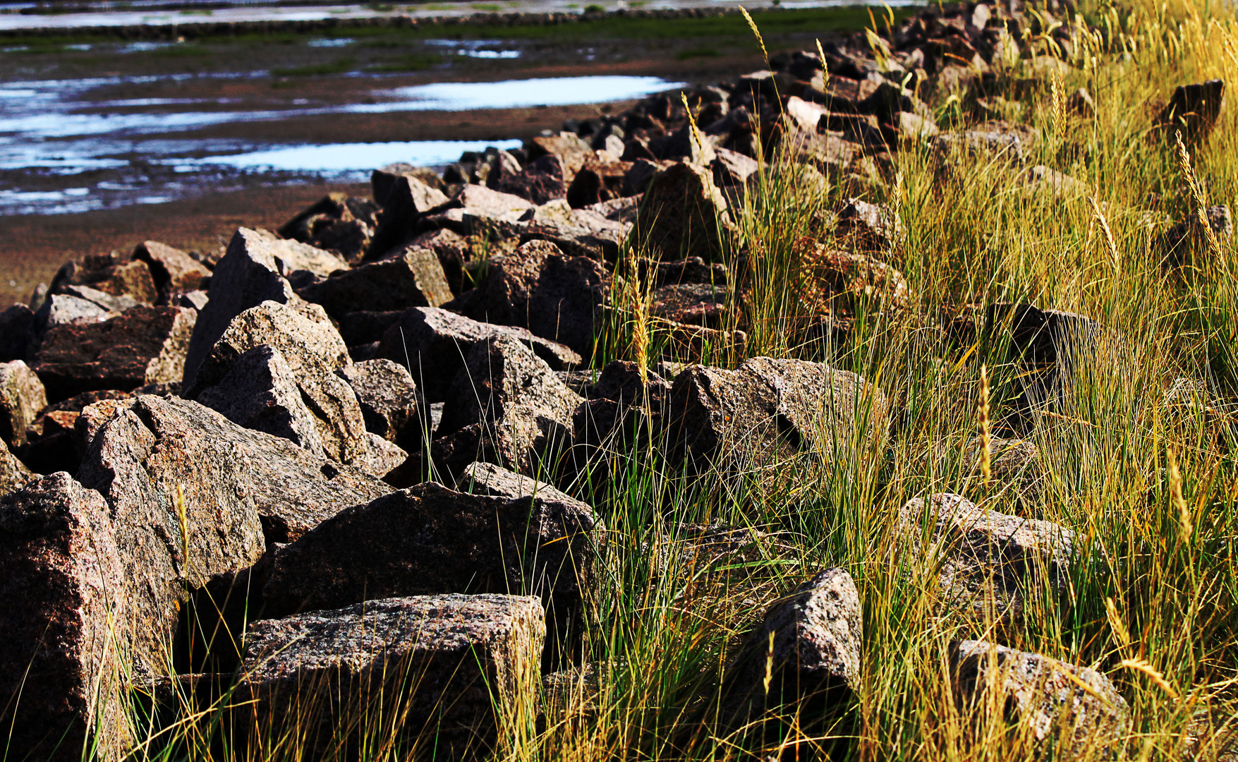 Friedrichskoog / Strand