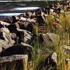 Friedrichskoog / Strand