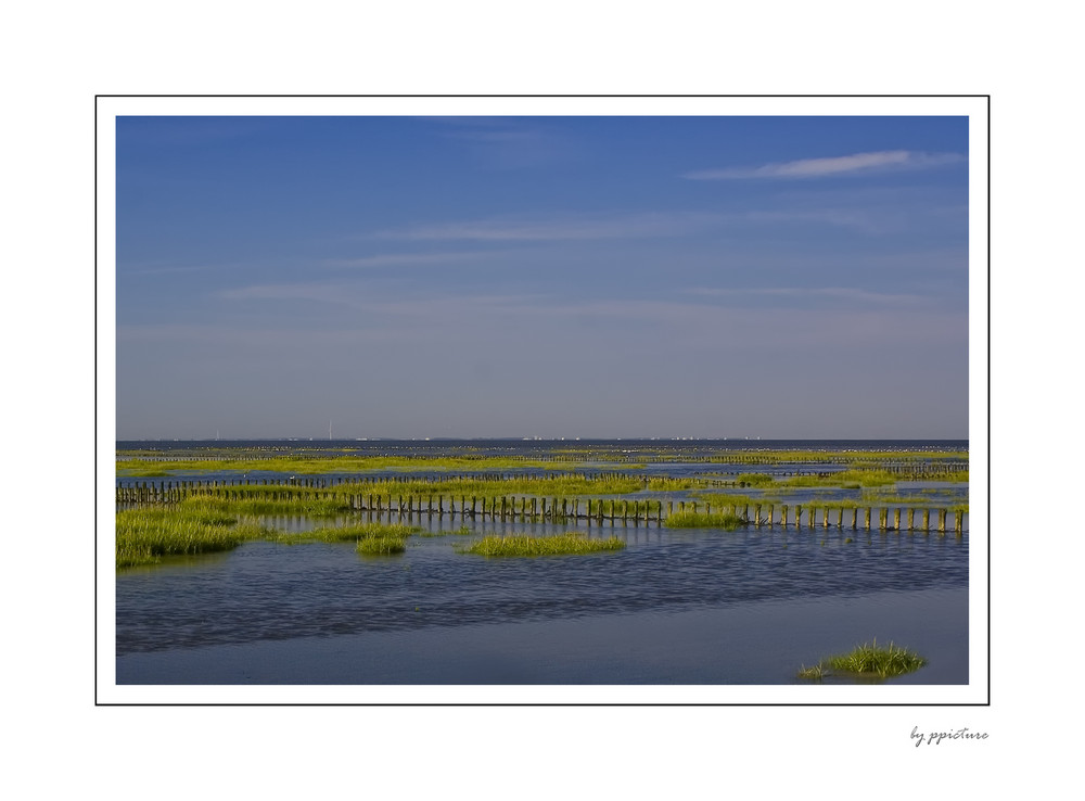 Friedrichskoog V