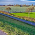 Friedr.koog/Hafen - Kohlfelder achtern Diek