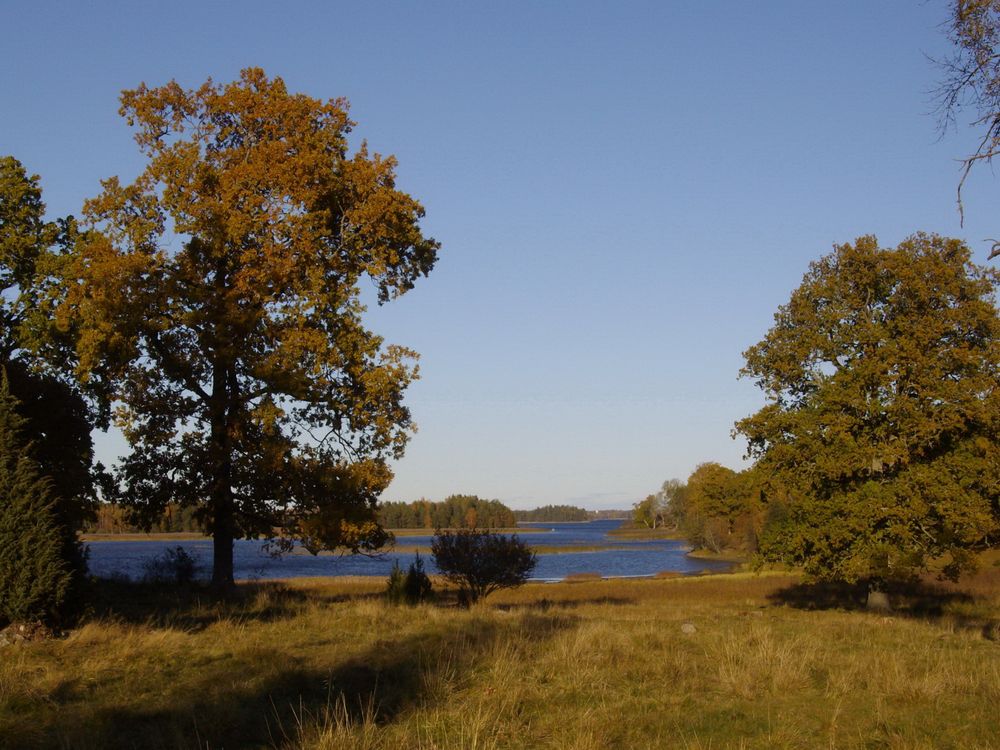 friedvoll liegt da der see...