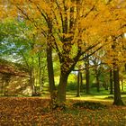 FRIEDVOLLE HERBSTSTIMMUNG AUF DEM NECKARSULMER JUDENFRIEDHOF