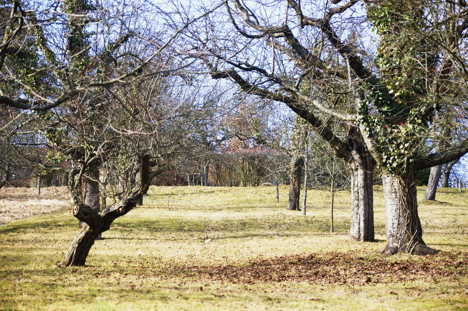 friedvolle Landschaft