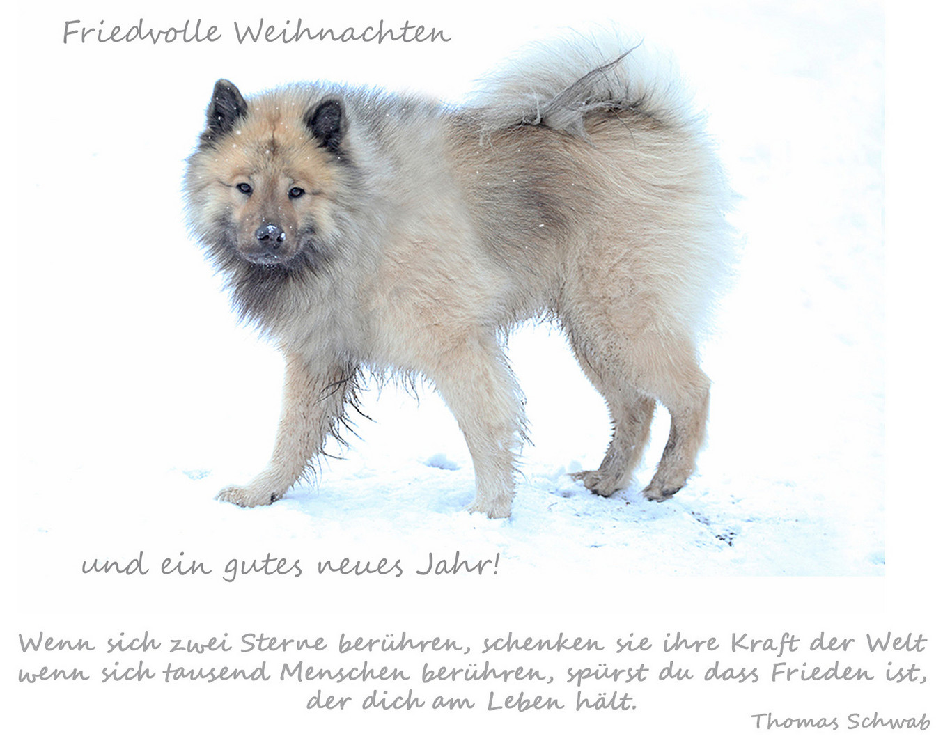 Friedvolle Weihnachten...........