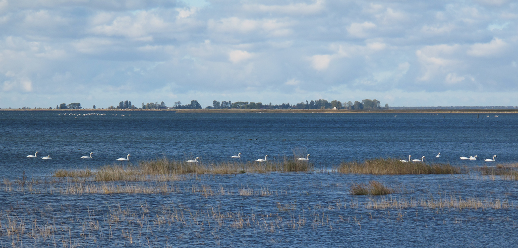 Friedvoller Bodden