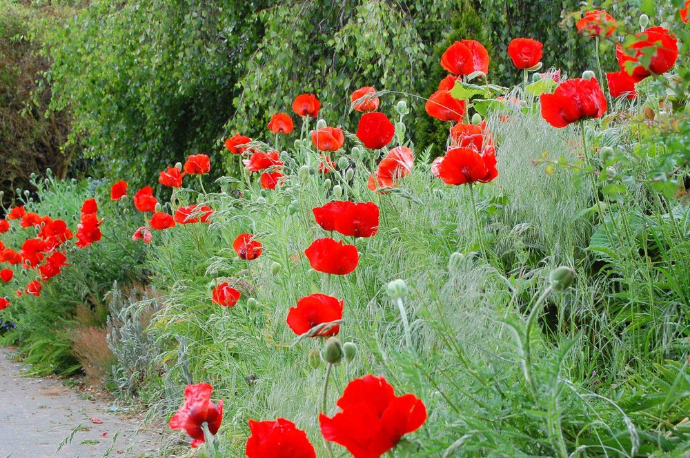 friedvolles Dorfleben von Gerhard Grenz 