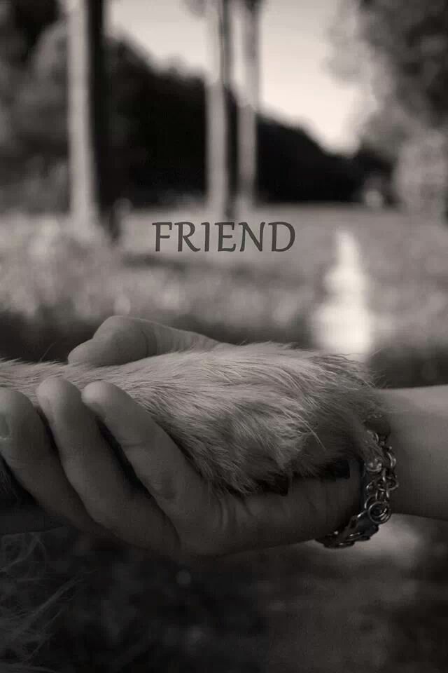 FRIEND