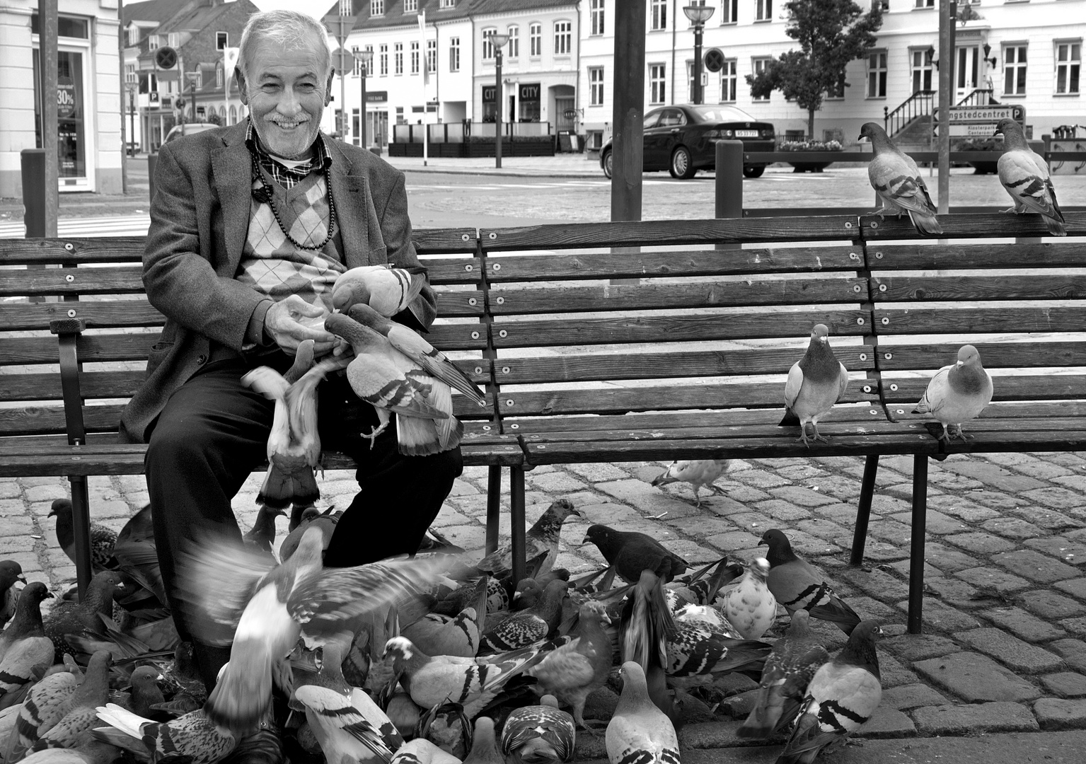 Friend of pigeons