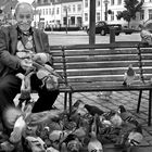 Friend of pigeons