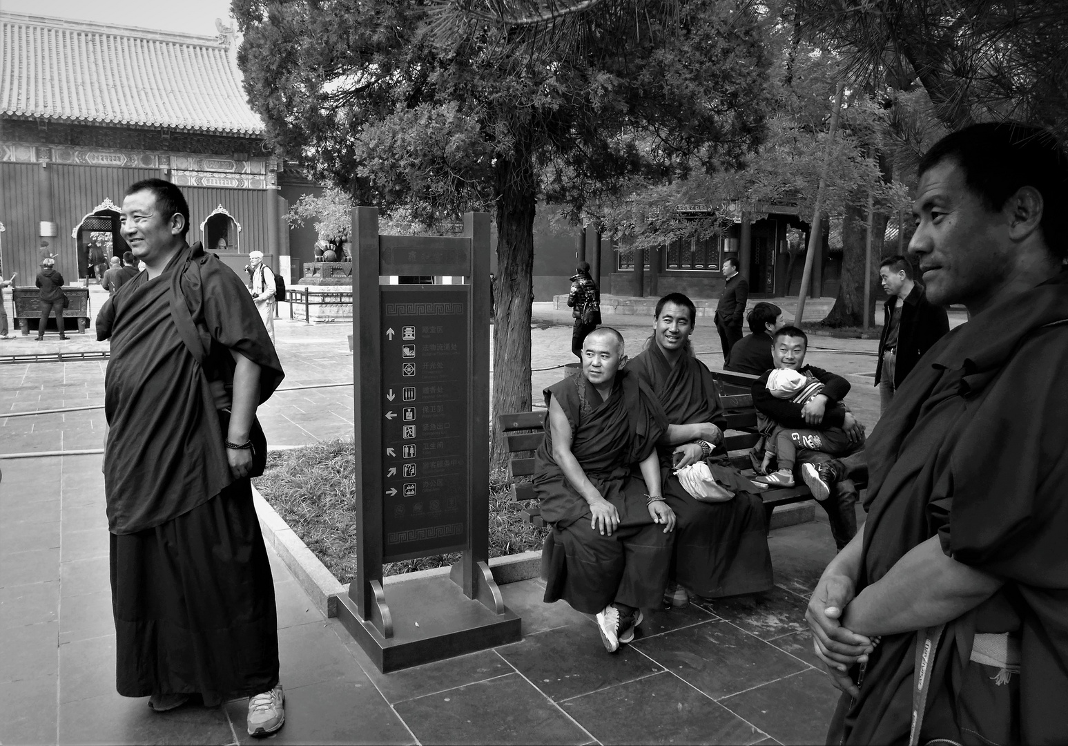 friendly monks