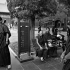 friendly monks
