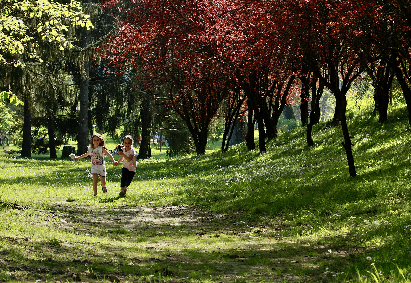 friends and spring