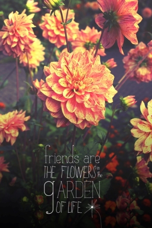 Friends are the flowers...