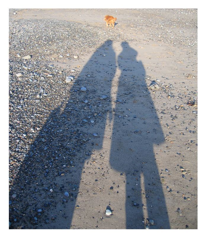 Friends at Killiney Beach