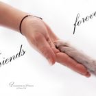 Friends forever