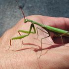 Friends shaking hands...