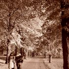 Friends Walking